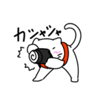 カメラをもったネコ。(個別スタンプ:10)