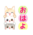 まんまるお目め ミーちゃんず Lineスタンプ Studio Lovereedom