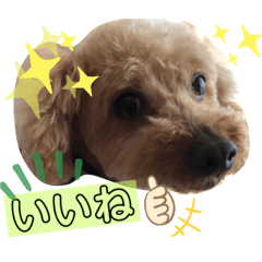 といぷーpart2 Lineスタンプ ちょびっち