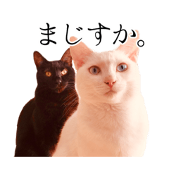 うにとすあま ドライ編 Lineスタンプ U S