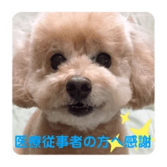 といぷーpart2 Lineスタンプ ちょびっち