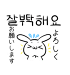 うさぎとパンダ  韓国語ver（個別スタンプ：12）