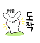 うさぎとパンダ  韓国語ver（個別スタンプ：22）