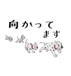 101匹わんちゃん（個別スタンプ：31）
