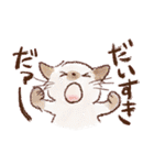 想いを伝える猫たちのスタンプ（個別スタンプ：1）