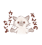 想いを伝える猫たちのスタンプ（個別スタンプ：16）