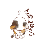 想いを伝える猫たちのスタンプ（個別スタンプ：24）
