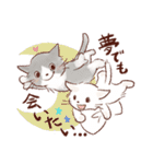 想いを伝える猫たちのスタンプ（個別スタンプ：36）