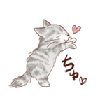 想いを伝える猫たちのスタンプ（個別スタンプ：38）