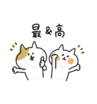 ゆるゆるニャンコのいまどき言葉（個別スタンプ：19）