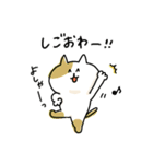 ゆるゆるニャンコのいまどき言葉（個別スタンプ：39）