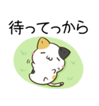 茨城弁のみけねことロシアンブルー（個別スタンプ：16）