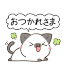 シャム猫マロン♦︎あいさつスタンプ（個別スタンプ：24）