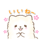 ぽふぽふポメラニアンの春スタンプ（個別スタンプ：16）