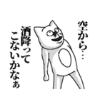 アル中ねこさん（個別スタンプ：10）