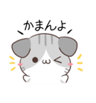 讃岐弁のねことわんこ（個別スタンプ：1）