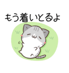 讃岐弁のねことわんこ（個別スタンプ：11）