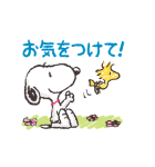 毎日使える♪スヌーピー基本スタンプ（個別スタンプ：13）