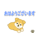 ちびもふ秋田犬 毎日使うスタンプ（個別スタンプ：1）