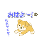 ちびもふ秋田犬 毎日使うスタンプ（個別スタンプ：2）