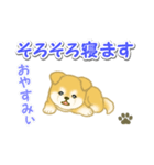 ちびもふ秋田犬 毎日使うスタンプ（個別スタンプ：6）