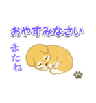 ちびもふ秋田犬 毎日使うスタンプ（個別スタンプ：7）