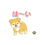 ちびもふ秋田犬 毎日使うスタンプ（個別スタンプ：9）