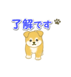 ちびもふ秋田犬 毎日使うスタンプ（個別スタンプ：10）