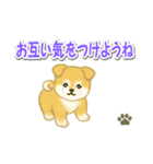 ちびもふ秋田犬 毎日使うスタンプ（個別スタンプ：28）