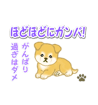 ちびもふ秋田犬 毎日使うスタンプ（個別スタンプ：32）