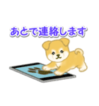 ちびもふ秋田犬 毎日使うスタンプ（個別スタンプ：34）