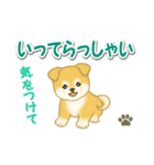 ちびもふ秋田犬 毎日使うスタンプ（個別スタンプ：38）
