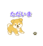 ちびもふ秋田犬 毎日使うスタンプ（個別スタンプ：39）