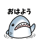 生活感のあるサメ（個別スタンプ：1）
