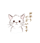 動くゆかいな猫たちのスタンプ（和風）（個別スタンプ：2）