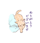 動くゆかいな猫たちのスタンプ（和風）（個別スタンプ：7）