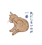 動くゆかいな猫たちのスタンプ（和風）（個別スタンプ：20）