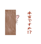 動くゆかいな猫たちのスタンプ（和風）（個別スタンプ：21）