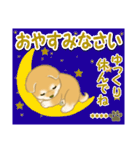 赤ちゃん豆柴 【カスタム版】（個別スタンプ：6）
