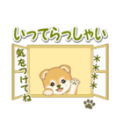 赤ちゃん豆柴 【カスタム版】（個別スタンプ：38）