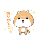 ぷにぷにシバちゃん-日常生活編（個別スタンプ：4）
