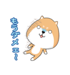 ぷにぷにシバちゃん-日常生活編（個別スタンプ：23）
