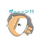 ぷにぷにシバちゃん-日常生活編（個別スタンプ：24）