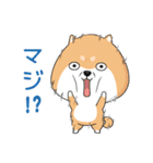 ぷにぷにシバちゃん-日常生活編（個別スタンプ：30）
