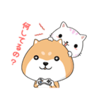 ぷにぷにシバちゃん-日常生活編（個別スタンプ：38）