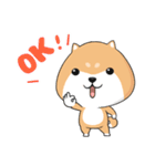 ぷにぷにシバちゃん-日常生活編(中国語版)（個別スタンプ：1）