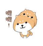 ぷにぷにシバちゃん-日常生活編(中国語版)（個別スタンプ：2）