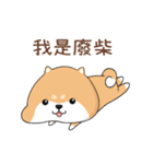 ぷにぷにシバちゃん-日常生活編(中国語版)（個別スタンプ：5）