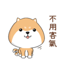 ぷにぷにシバちゃん-日常生活編(中国語版)（個別スタンプ：8）