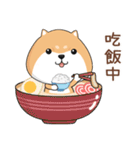 ぷにぷにシバちゃん-日常生活編(中国語版)（個別スタンプ：11）